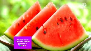 தர்பூசணி மருத்துவ பயன்கள் water melon medical uses