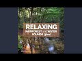 Relaxing Rainforest and Water Sounds