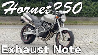 【高音質】HORNET250 マフラー音 ヤマモトレーシングspec-A