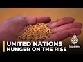 Food security: UN says hunger & malnutrition on the rise