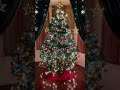 2023 christmas tree decoration trend blue christmas christmasornament shortsvideo christmastree