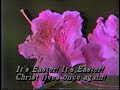 cc its easter