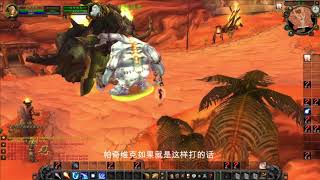 【WOW】魔兽世界单机版：帕奇维克VS布鲁塔卢斯，两大BOSS无视版本的恶战