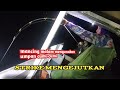 mancing malam mengunakan umpan cumi-cumi#spot karang dalam#spot karang dangkal