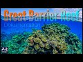 Das Great Barrier Reef (Korallenriff Dokumentation deutsch) | AquaOwner