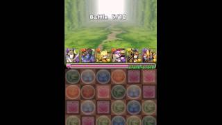 パズドラ　木の歴龍地獄級Sランク　光アヌビスx闇ヨミPT