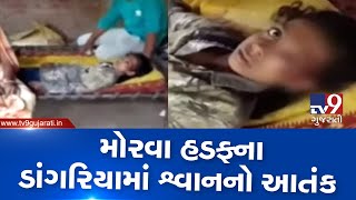 Girl hospitalised after dog bite in Panchmahal's Morva Hadaf | TV9GujaratiNews