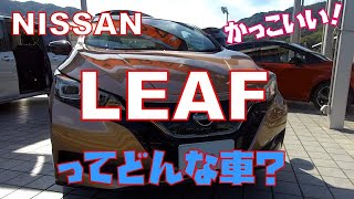 EVならではの日産リーフ人気の秘密をレビュー！