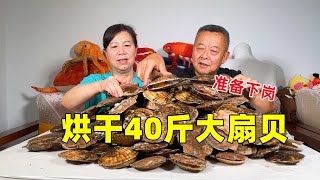 【結巴老爹美食】买了40斤扇贝，给儿媳妇做孕妇小零食