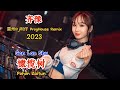 齐豫 - 橄榄树 - (雷州Dj利仔 ProgHouse Remix 2023) - Gan Lan Shu - Pohon Zaitun #dj抖音版2023