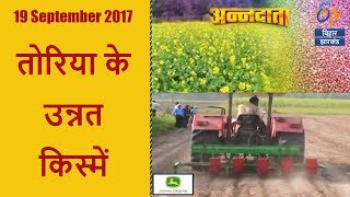 तोरिया के उन्नत किस्में | अन्नदाता | 19 September 2017 | ETV Bihar Jharkhand