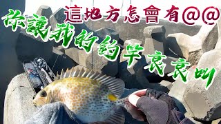 磯釣 漁港 台中 星點臭肚 象魚 黑鯛 黃鰭鯛 金錢仔 黑粒子 尼羅一號 萬能餌 鯽魚餌 防波堤 消波塊 松柏漁港 20240707