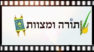 יסודות האמונה - תורה ומצוות