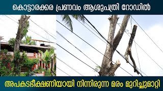 അപകടഭീക്ഷണിയായ മരം മുറിച്ചുമാറ്റി | Kottarakkara City News | The tree which was standing as danger