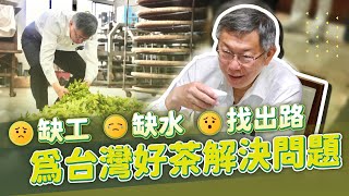 缺工？缺水？找出路 | 為台灣好茶解決問題