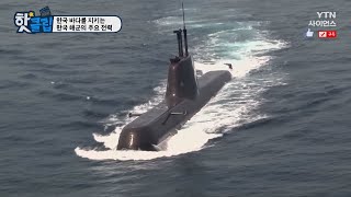 [핫클립] 한국 바다를 지키는 한국 해군의 주요 전력 / YTN 사이언스