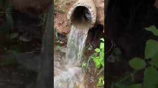 சுழலில் சுற்றி முதலில் யாருடையது வெளிவரும் | நீர் சுழல் | Water Vortex | #shorts