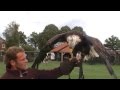 Training Hertog voor de wedstrijd Vitesse-PEC Zwolle 22 sept 2013