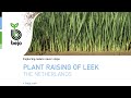 BEJO | Plant raising of leek