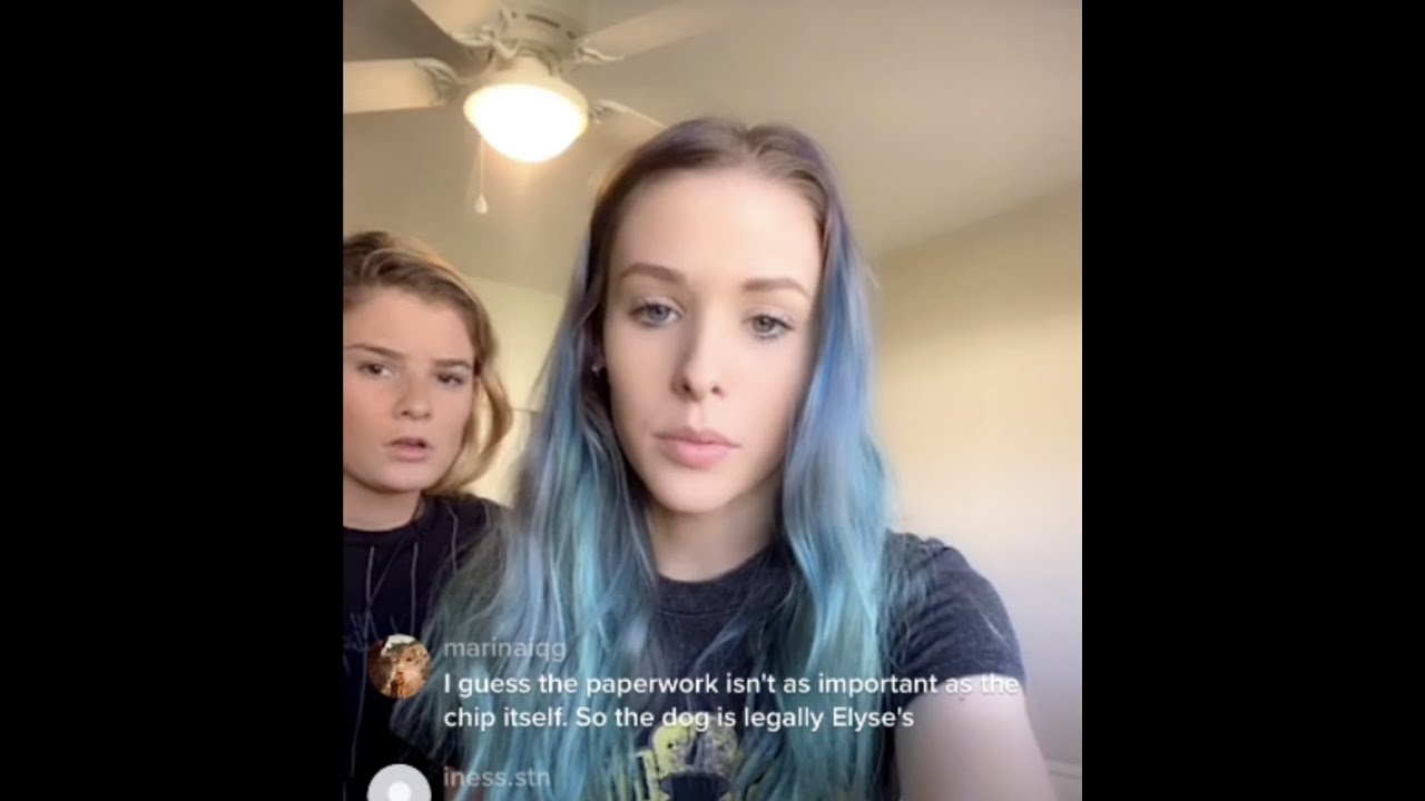 Elyse S Live Youtube