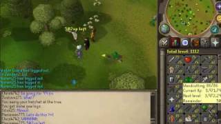 Marioman775 Gets 87 Woodcutting