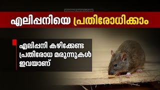 What is Medicine for rat fever? എലിപ്പനിയെ പ്രതിരോധിക്കാം | പ്രതിരോധ മരുന്നുകൾ