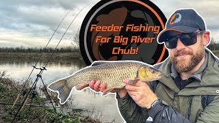 Feeder Fishing For Big River Chub!