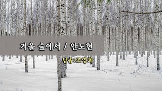 겨울 숲에서 /안도현   (낭송:조영희)