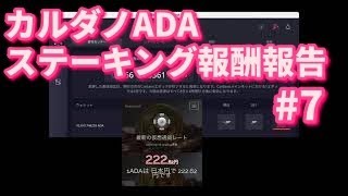 【仮想通貨】カルダノADAステーキング報酬結果報告#7  2021年5月18日（火）