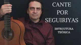 ACAMPAÑAMIENTO DE LA SEGUIRIYA 👉 (ESTRUCTURA TEÓRICA)