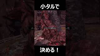 俺は小タル爆弾でチャンネル登録者を40人目指すんだ！ #サンブレイク