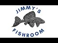 Jack Wattley Discus | Unboxing Discus | Jimmy’s Fishroom