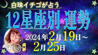 ★忖度なし★2024年2月19日〜2月25日の星座別の運勢★運気を上げるアドバイスつき★