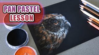 Owl in Pan Pastels & Colored Pencil - Beginners Tutorial