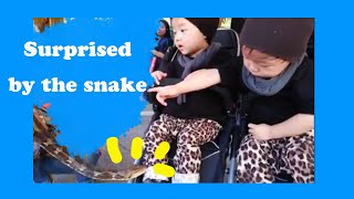 쌍둥이 : 동물원에 가서 뱀 때문에 놀란 둥이ㅣZoo ㅣ Snake