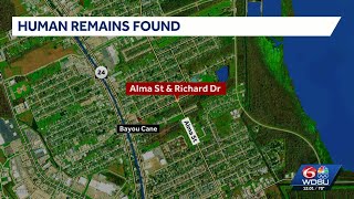 Skeletal remains founded in wooded area of Houma