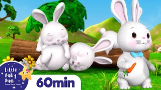 Sleeping Bunnies | LittleBabyBum - Nursery Rhymes for Babies