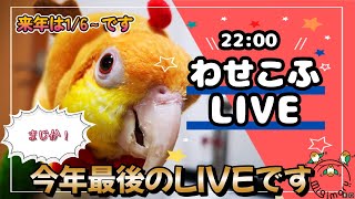 わせこふLIVE#134　今年最後のLIVEです