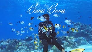 【癒しの海タヒチボラボラ】コーラルガーデンでチョウチョウウオに囲まれ癒される Butterfly fish; Coral garden in Bora Bora, Tahiti