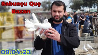 Sabunçu Quş Bazarı 09 Aprel 2023 @elixezer2