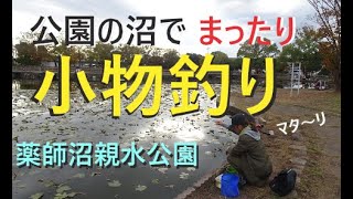 薬師沼親水公園で、まったり小物釣り【春日部市】☆smallfishing in Saitama Japan☆