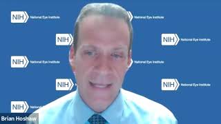 NIH Peer Review: "Live" Mock Study Section