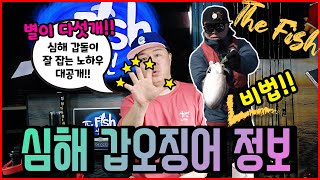 심해 갑오징어 꿀정보 대방출~!!! 순삭정보  FTV The Fish 84편