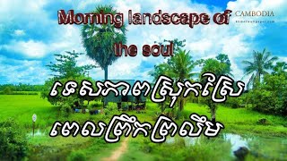 ទេសភាពស្រុកស្រែពេលព្រឹកព្រលឹម  Early morning rice field landscape