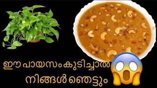 💯ചെറുപയറും പാലും ശർക്കരയും ഉണ്ടെങ്കിൽ  പായസം ഇതു പോലെ ഒന്ന് ഉണ്ടാക്കി നോക്കൂ പൊളിയാണ്😱