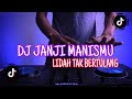 DJ JANJI MANISMU LIDAH TAK BERTULANG || VIRAL TIKTOK 2023