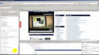 Introduction To Web Developer and Firebug
