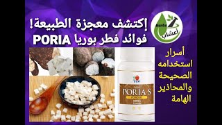 اكتشف معجزة الطبيعة  فوائد فطر بوريا ، وأسرار استخدامه الصحيحة والمحاذير الهامة! #PORIA   #فطر_بوريا