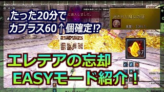 【黒い砂漠PC】カプラス60個以上確定！「エレテアの忘却（EASY）」