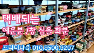 프리티다육 택배되는  예운분 소개! 010.9500.9207 *유료광고포함*